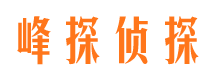 屏南找人公司